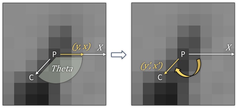 In practice, it is more convenient to rotate the sample coordinates for accessing intensities of target pixels.